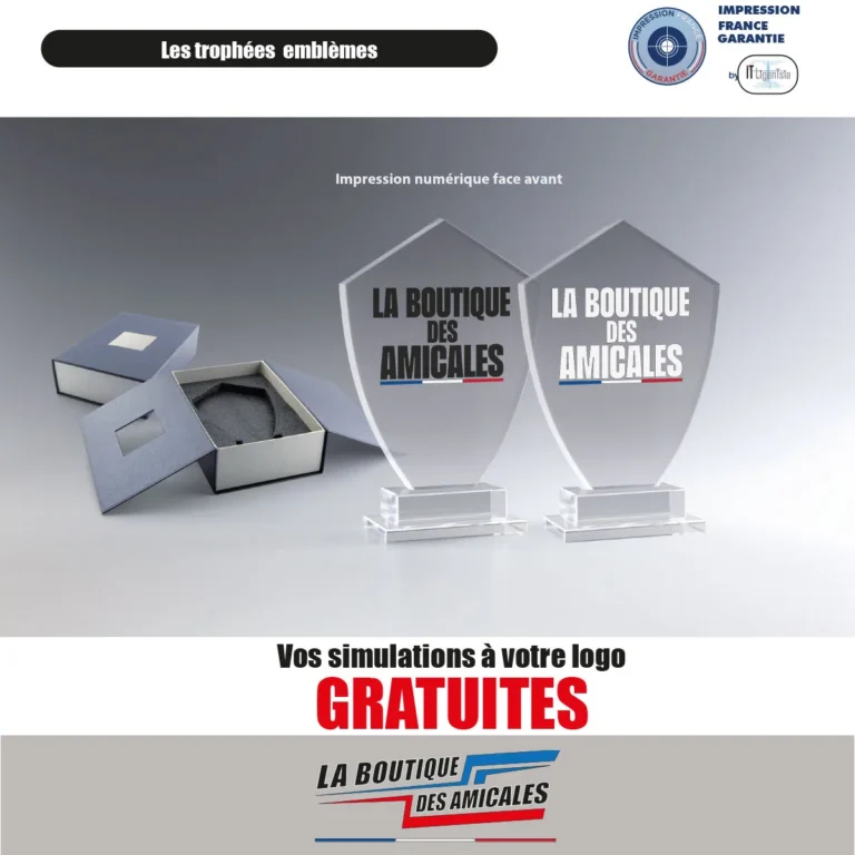 Trophée en Verre Emblème sur Socle – Prestige et Reconnaissance