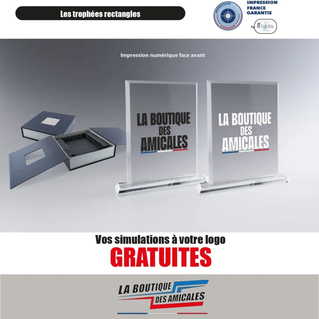 Trophée Rectangle sur Socle – Célébrez l'Innovation et la Créativité